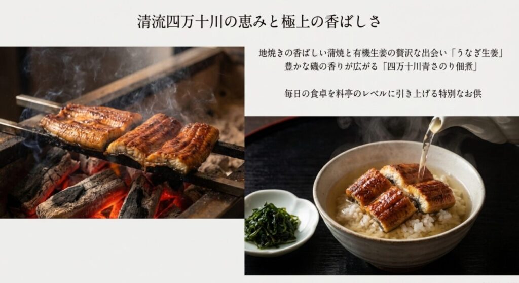 四万十川の恵みを受けたうなぎ生姜と地焼き鰻
